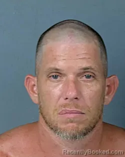 Mugshot of Richard Louis Davis booked in Hernando County, Florida on August 30, 2026