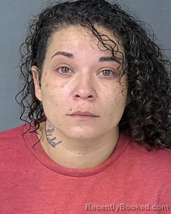 Mugshot of Rosa Marie Torres booked in Hernando County, Florida on August 30, 2026