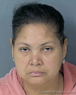 Mugshot of Maria J Reyes booked in Hernando County, Florida on September 2, 2026