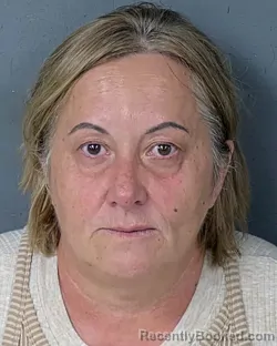 Mugshot of Advija Sarac booked in Hernando County, Florida on September 2, 2026