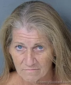 Mugshot of Melissa Ann Ryan booked in Hernando County, Florida on September 3, 2026