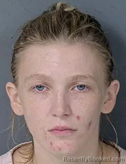 Mugshot of Jayda Lynn Capehart booked in Hernando County, Florida on September 3, 2026