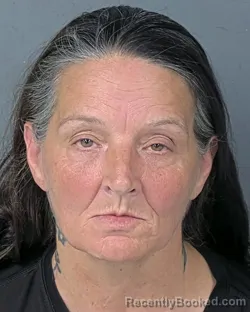 Mugshot of Stephanie Jean Watts booked in Hernando County, Florida on September 3, 2026