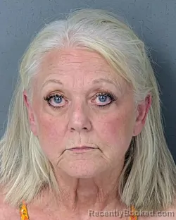 Mugshot of Donna Marie Turner booked in Hernando County, Florida on September 3, 2026