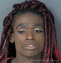 Mugshot of Demarcus Lee Dwayne Brown booked in Hernando County, Florida on September 3, 2026