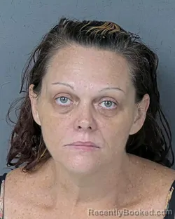 Mugshot of Ashley Lynn Nichols booked in Hernando County, Florida on September 4, 2026