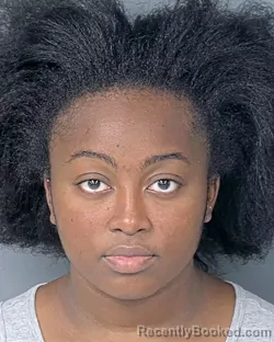 Mugshot of Sincere Imani Lumpkin booked in Hernando County, Florida on September 4, 2026