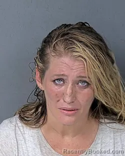 Mugshot of Lindsey Brooke Goodwin booked in Hernando County, Florida on September 5, 2026