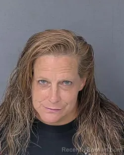 Mugshot of Jill Marie Hillis booked in Hernando County, Florida on September 6, 2026