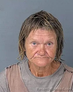 Mugshot of Barbara Staines Passerin booked in Hernando County, Florida on September 7, 2026