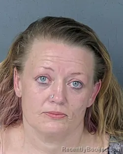 Mugshot of Crystal Mae Hovis booked in Hernando County, Florida on September 8, 2026