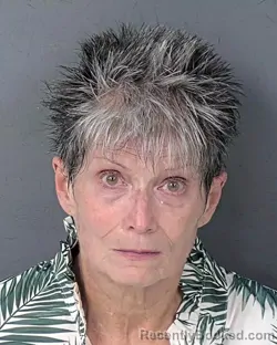 Mugshot of Darlene Annette Hatfield booked in Hernando County, Florida on September 8, 2026
