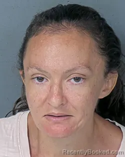 Mugshot of Danielle Claudia Dimari booked in Hernando County, Florida on September 10, 2026