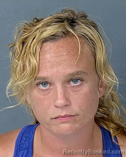 Mugshot of Chantell Elizabeth Corcoran booked in Hernando County, Florida on September 11, 2026