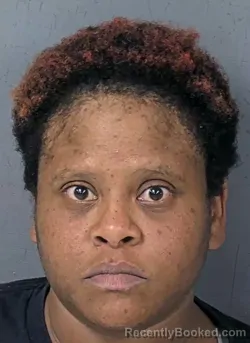 Mugshot of Bianca Iesha Monique Walker booked in Hernando County, Florida on September 11, 2026
