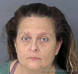 Mugshot of Marion Beck booked in Hernando County, Florida on September 12, 2026