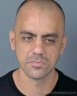 Mugshot of Mark Angelo Franich booked in Hernando County, Florida on September 13, 2026
