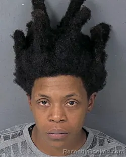 Mugshot of Ashanti Simone Tucker booked in Hernando County, Florida on September 19, 2026