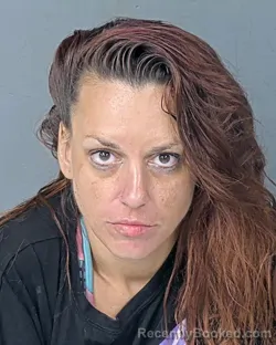 Mugshot of Ashlee Christina Miller booked in Hernando County, Florida on September 20, 2026