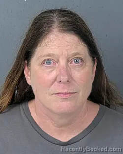 Mugshot of Donna Marie James booked in Hernando County, Florida on October 11, 2026