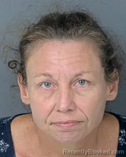 Mugshot of Shannon Reva Trivett booked in Hernando County, Florida on October 13, 2026