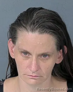 Mugshot of Chasity Ann Franciose booked in Hernando County, Florida on October 13, 2026