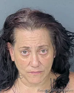 Mugshot of Melissa Anne Hall booked in Hernando County, Florida on October 13, 2026
