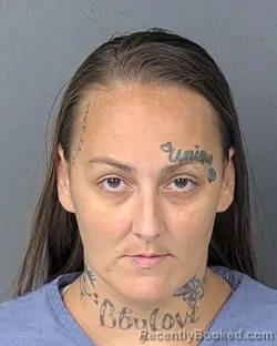 Mugshot of Linda Diane Risco booked in Hernando County, Florida on October 14, 2026