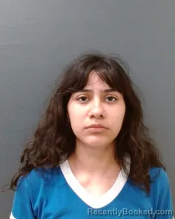 Booking photo from Comal County, Texas