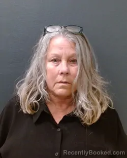 Mugshot of ALLISON ROSENBERG TAYLOR