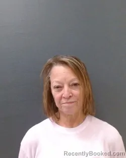 Mugshot of DIANA LYNN CAMERON