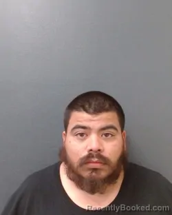 Mugshot of FRANCISCO MARTIN ALEMAN