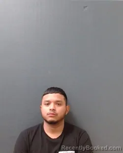 Mugshot of ERNESTO JESUS CAMPOS SUAREZ