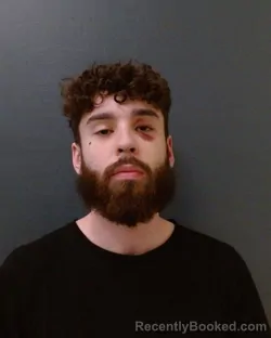 Mugshot of DANIEL WALKER EHRLER