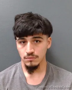 Mugshot of ROMAN GABRIEL FELAN