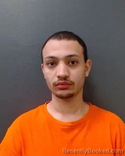 Mugshot of ANAS ATMAN MOHAMED YOUSSEF