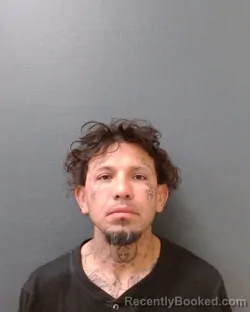 Mugshot of LORENZO BARRERA
