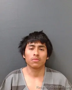 Mugshot of MARTIN TREJO-TREJO