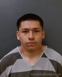 Mugshot of SEBASTIAN GUY WOLFF