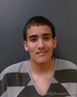 Mugshot of DAVID ROBERT VILLALOBOS