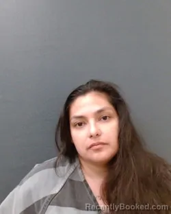 Mugshot of JULISA ANN VILLANUEVA