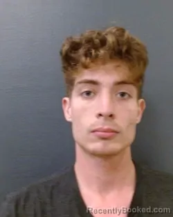 Mugshot of WILLIAM FRANKLIN WALLACE