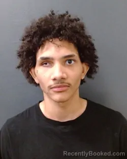 Mugshot of JONATHAN D HARRIS