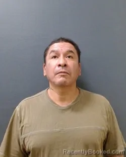 Mugshot of VIRGIL ALEMAN