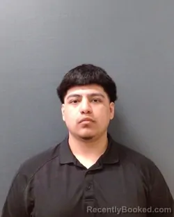 Mugshot of JOSHUA BERMEA