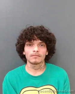 Mugshot of CARLITOS OLIVAREZ