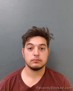 Mugshot of ANTHONY PAUL BOLT