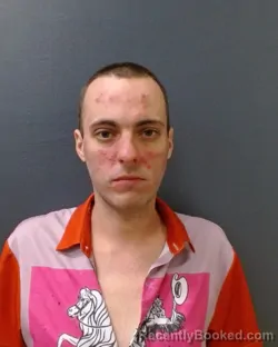 Mugshot of SHANE ALEXANDER HAMILTON