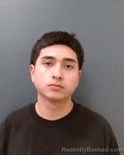 Mugshot of JOHNNY ANGEL OCHOA