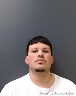 Mugshot of NOAH ANGELO DELGADO